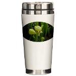 Darlingtonia Stainless Steel container